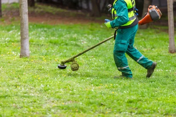 lawn care experts in hillsboro mo