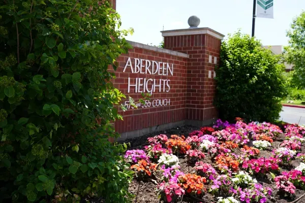 landscaping experts in cedar hill mo