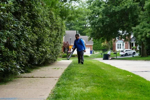 lawn care in ladue mo