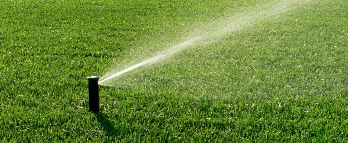 signs sprinkler system wasting water wildwood cedar hill mo