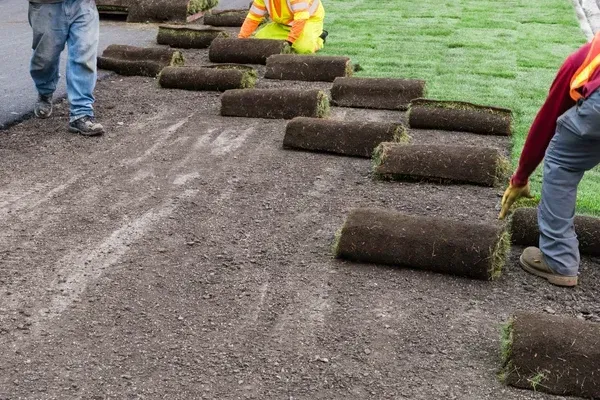 sod installation in cedar hill mo