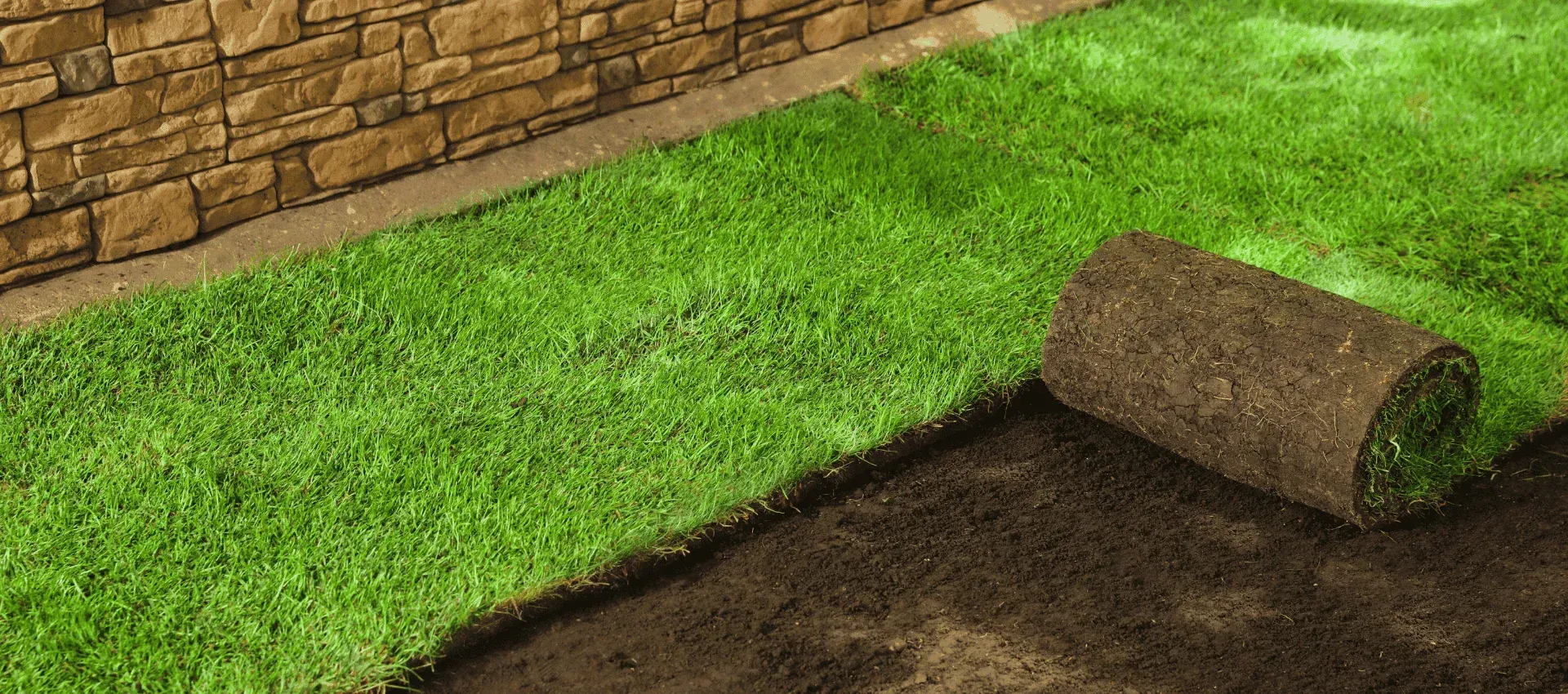 sod installers in cedar hill mo