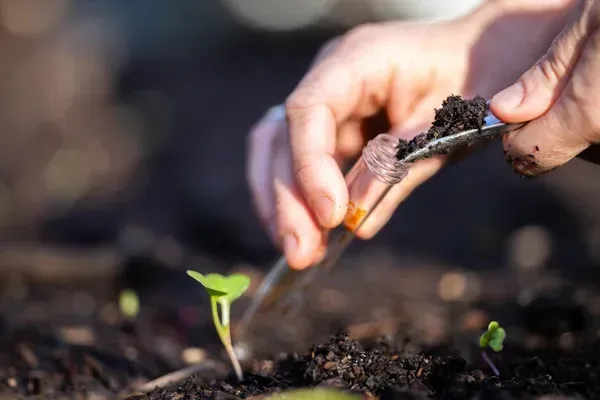 soil testing services cedar hill mo