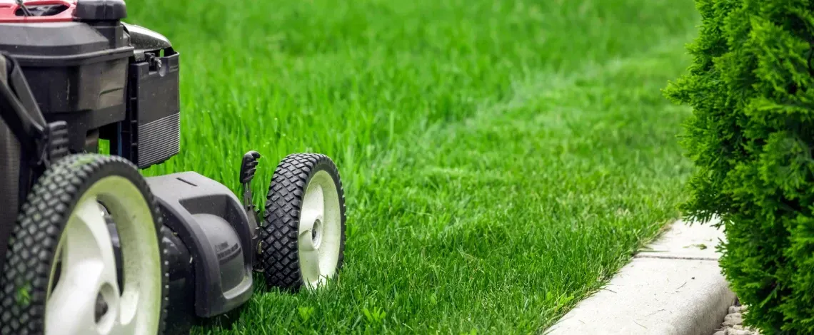 Spring Lawn & Landscape Prep Checklist for Cedar Hill, Ballwin & Wildwood, MO Homeowners