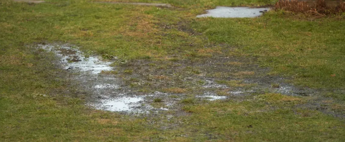 yard drainage problems in st louis