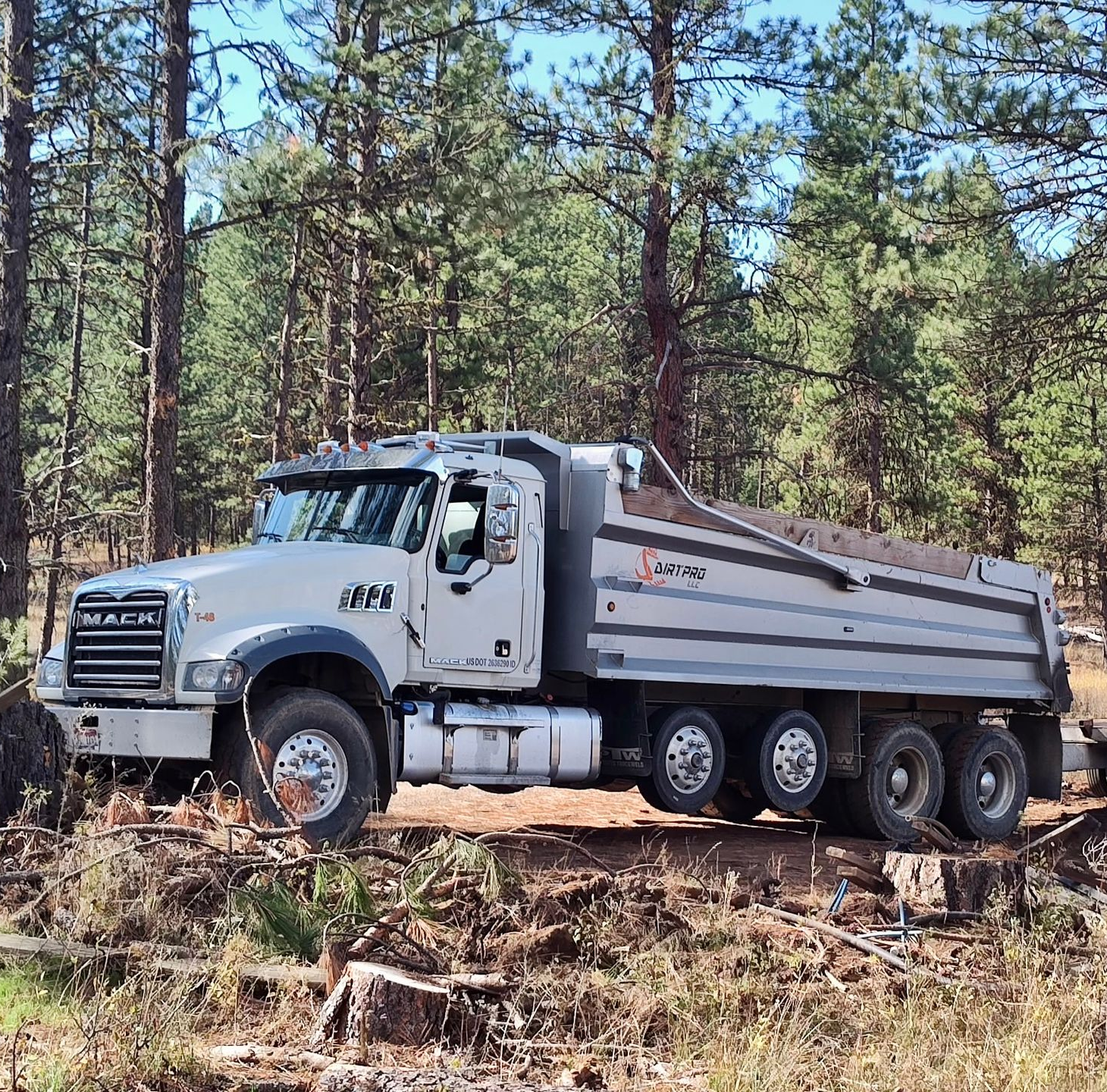 Gray Mack dump truck in a forest setting.
