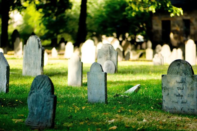 Lapidi in un cimitero soleggiato con erba verde e alberi sullo sfondo.