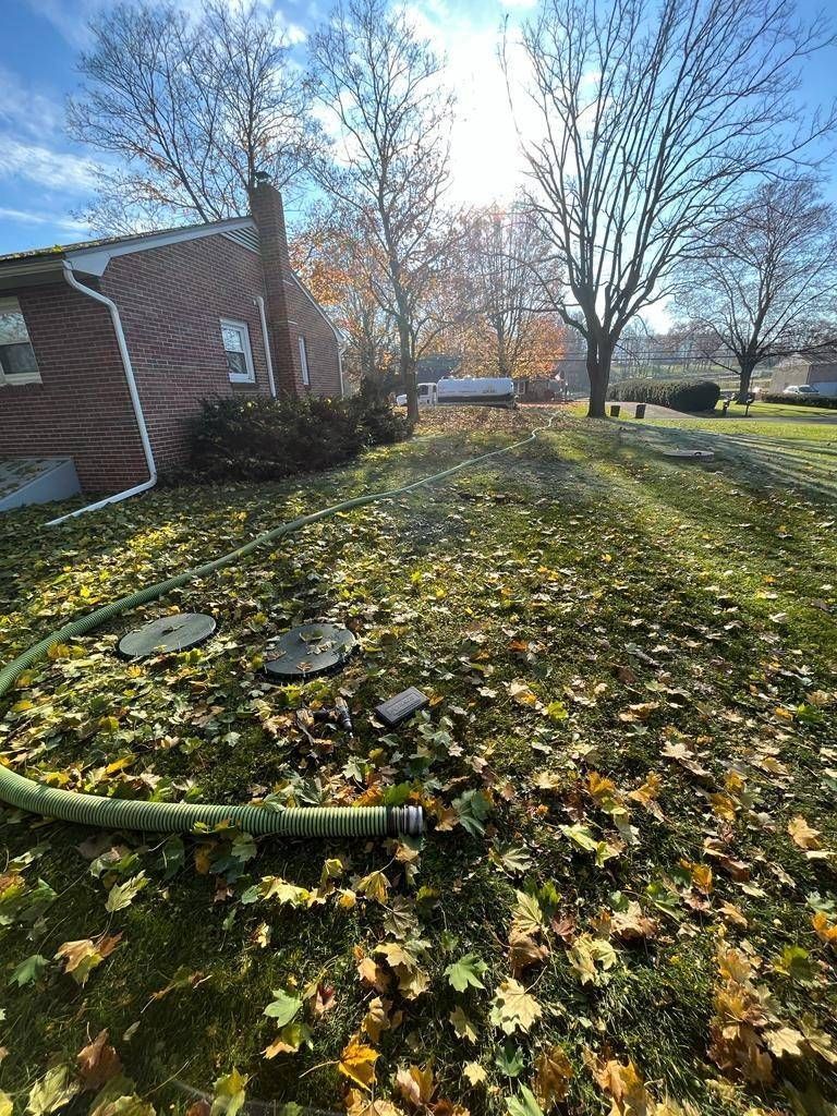 Sunlit lawn with fallen leaves beside a brick house and bare trees in autumn