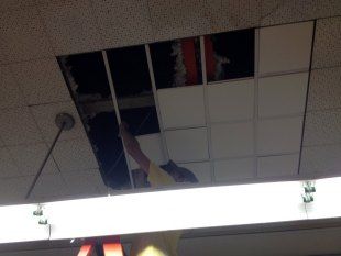 Damaged ceiling tiles with exposed insulation above a fluorescent light fixture