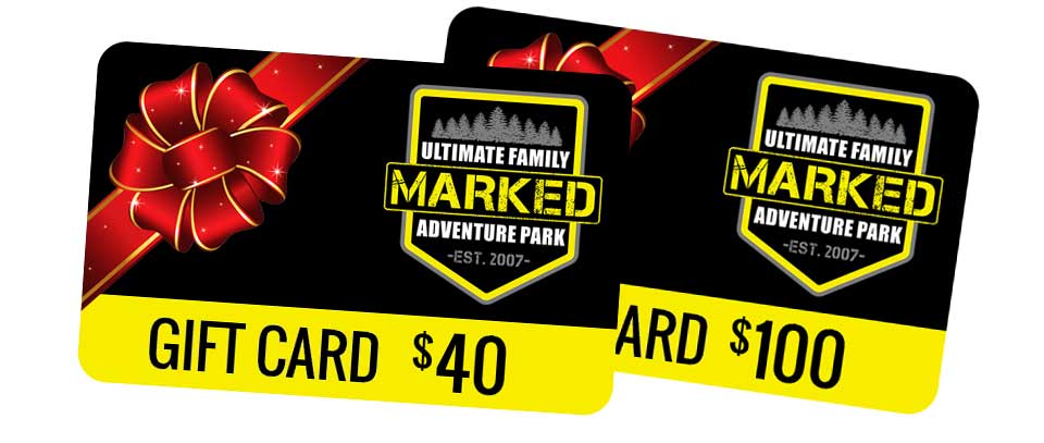 Two gift cards for $ 40 and $ 100 are sitting next to each other.