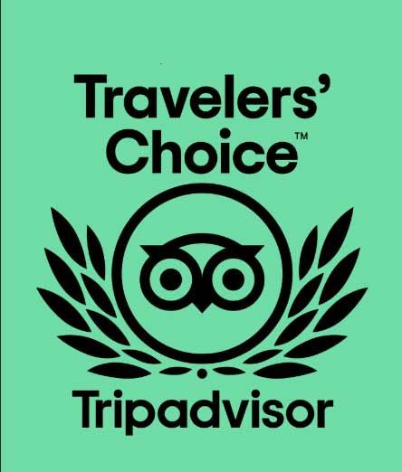 Travelers choice tripadvisor logo on a green background