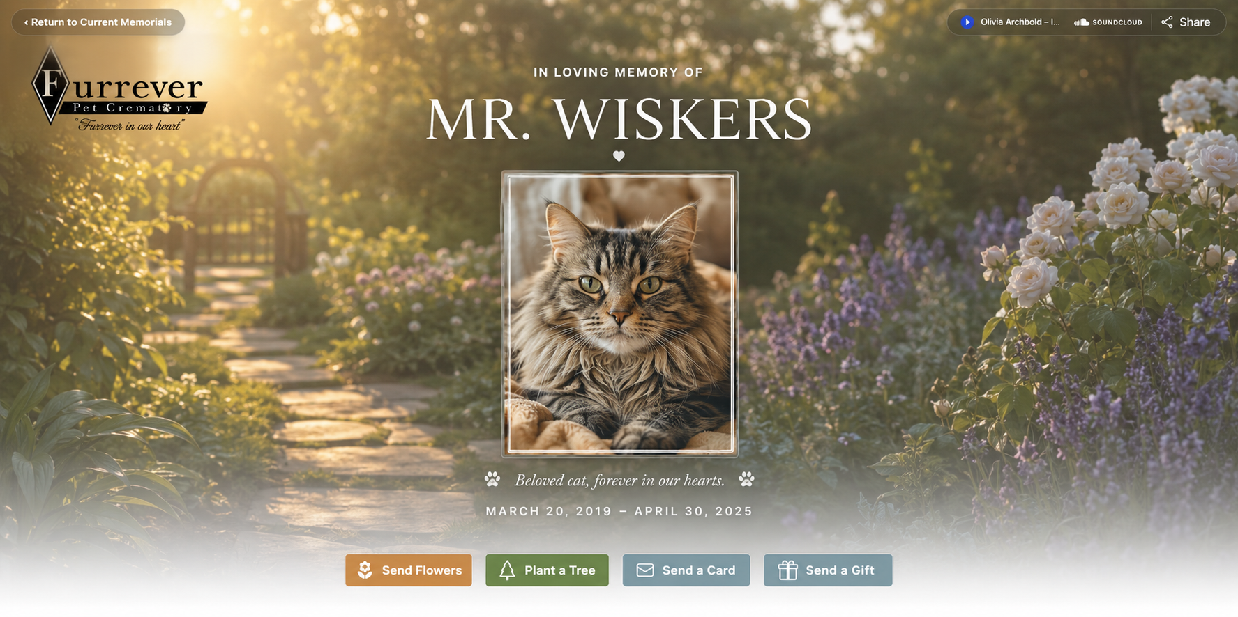 Tabby cat portrait on a garden-themed homepage labeled “Mr. Wiskers,” with soft flowers and warm light