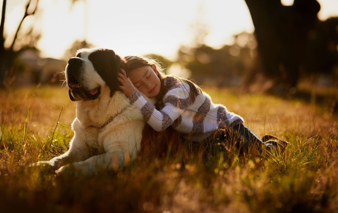 Person in plaid shirt hugging a large dog in a sunlit grassy field at sunset