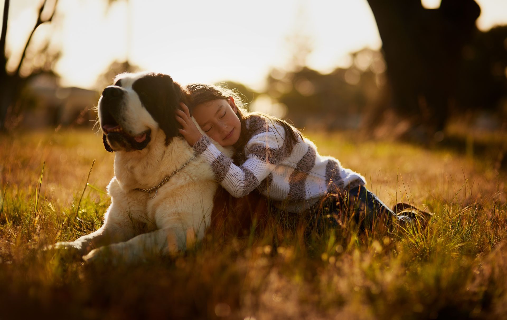 Person in plaid shirt hugging a large dog in a sunlit grassy field at sunset