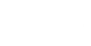 Mostly blank white screen with a thin black horizontal bar near the bottom.