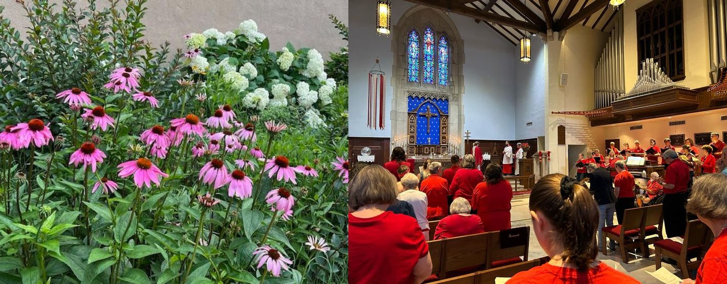 Flowers in a garden and a church interior with a choir in red robes.