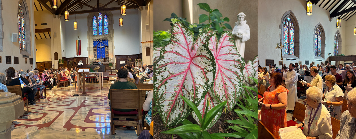 People in church, with large leafed plants, and statues. Lit up by stained glass and ambient lights.