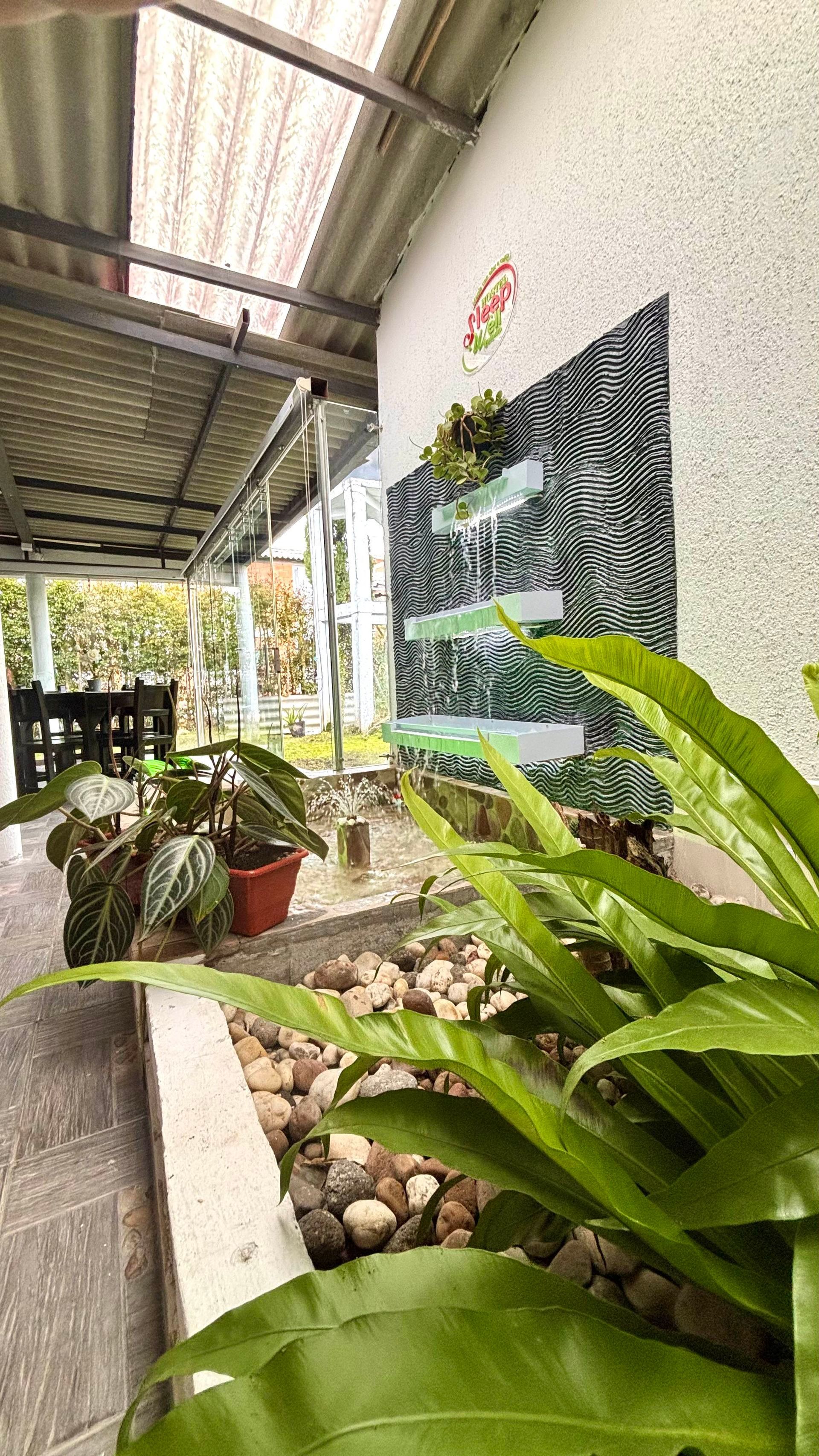 Pasarela cubierta junto a un mural de pared blanca, con plantas en macetas y exuberante vegetación a lo largo del camino.