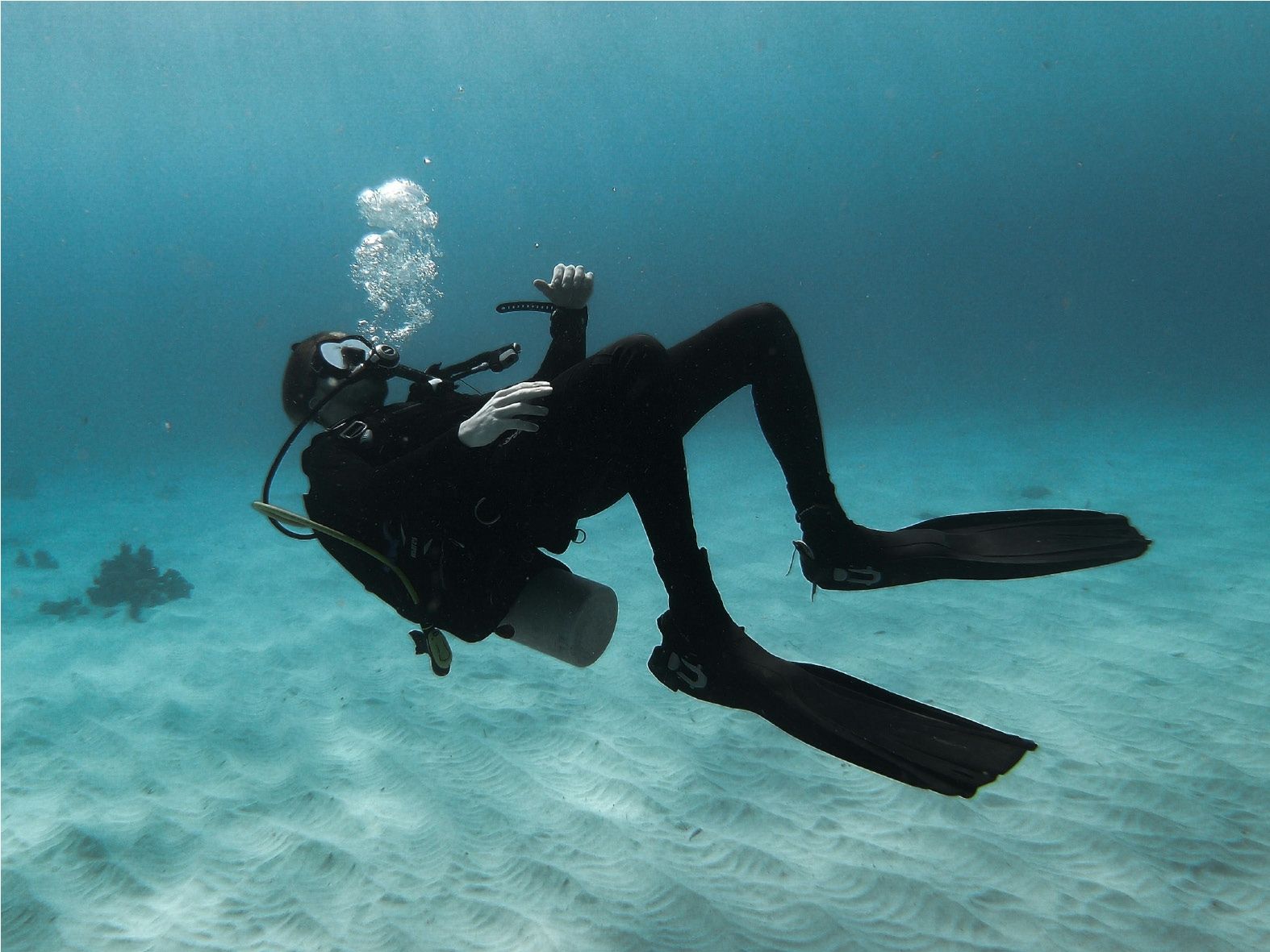 Buceo en San Andrés, caribe colombiano diving y arrecifes para descubrir el mar caribe colombiano.