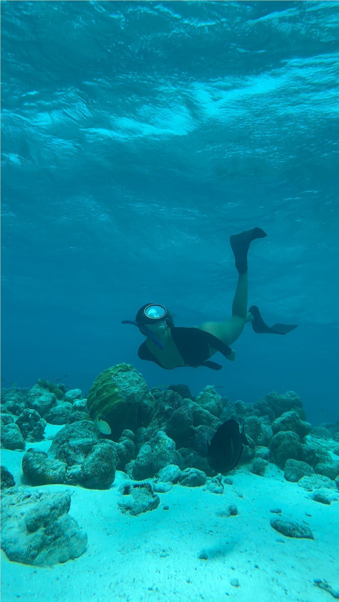 Snorkeling en San Andrés, actividades en San Andres Islas Colombia para ver corales en el mar de siete colores.