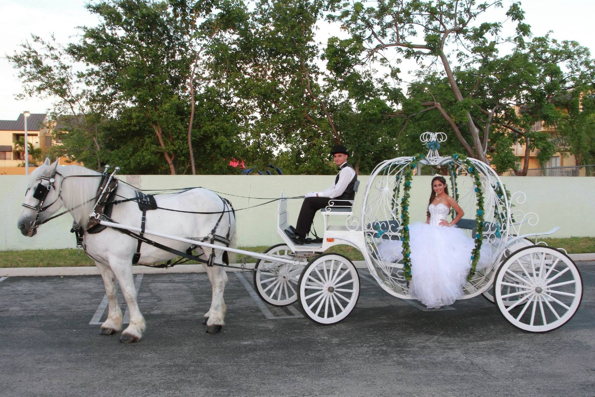 White horse-drawn carriage carrying a bride in a white gown along a street at dusk