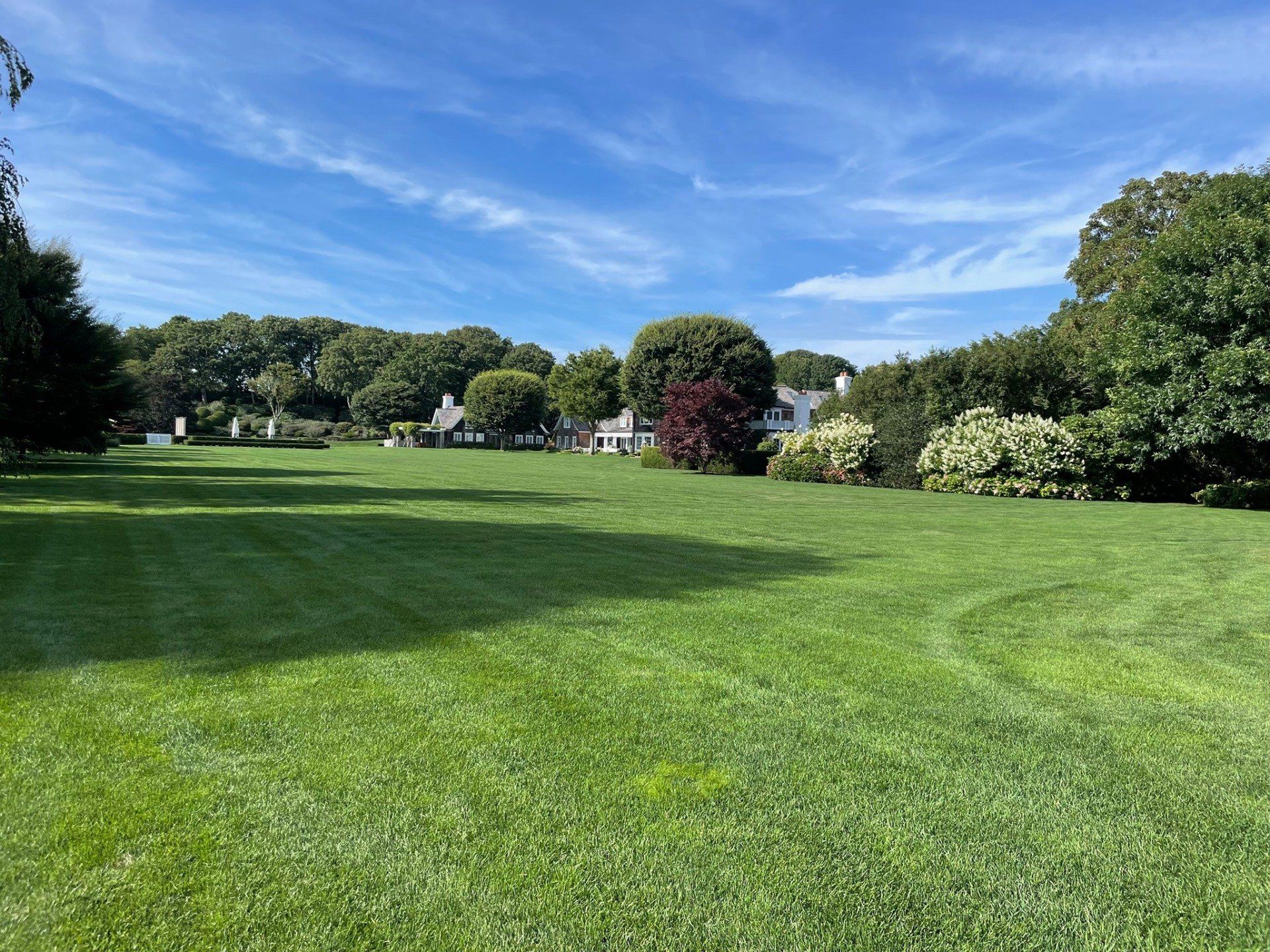 Medrano's Lawn Care