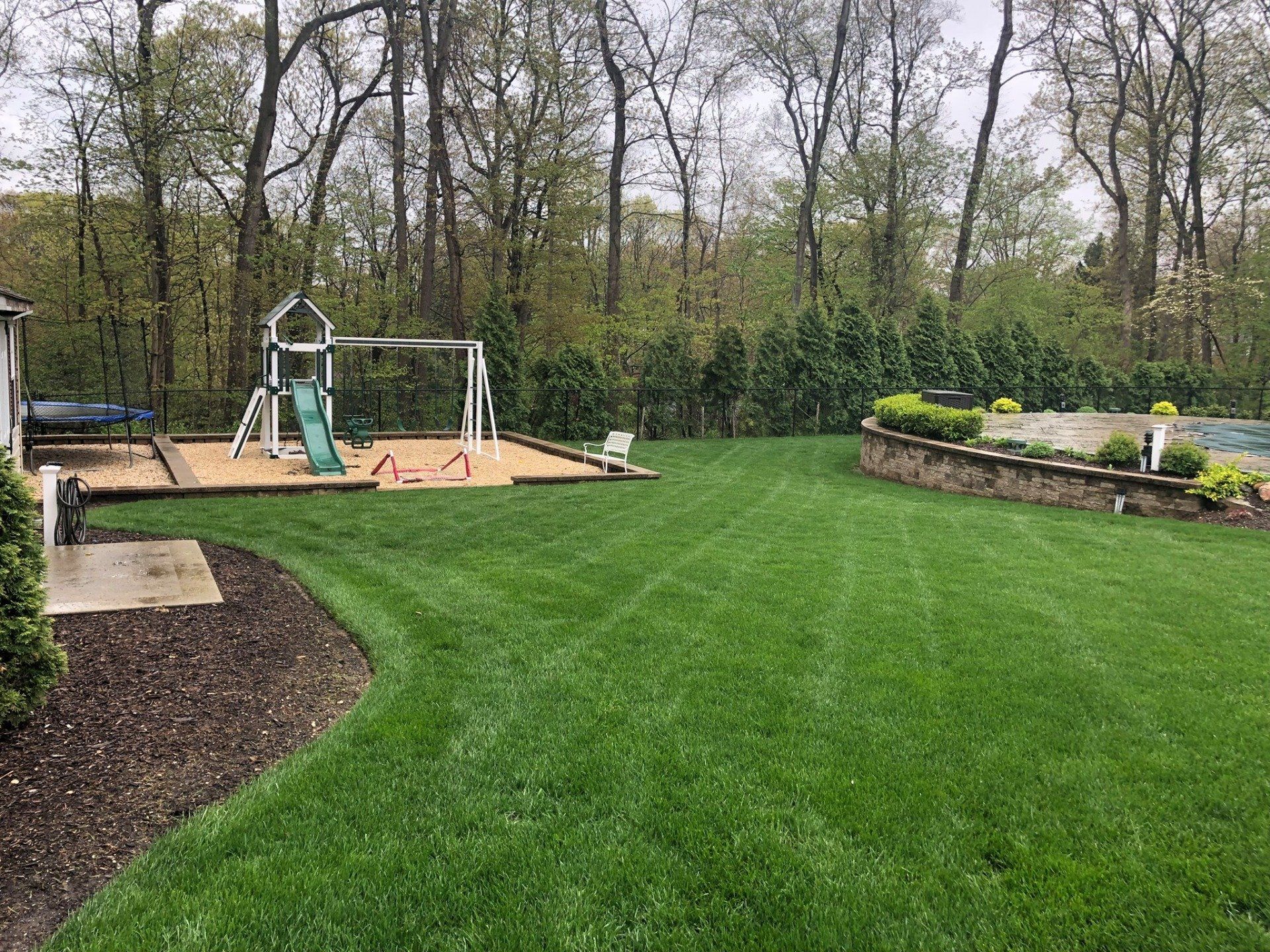 Medrano's Lawn Care