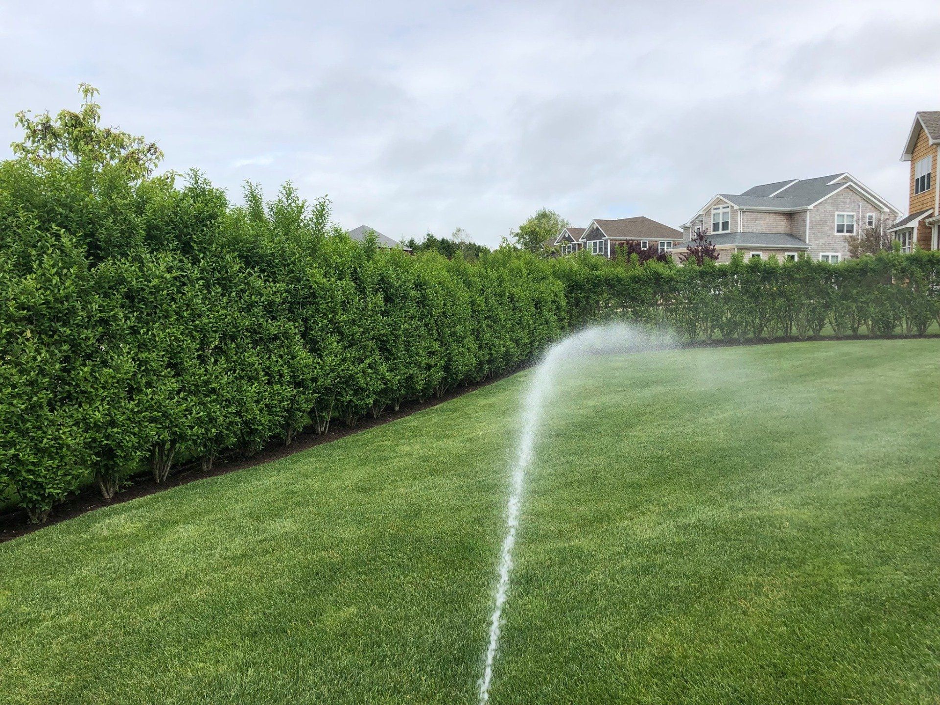 Medrano's Lawn Care