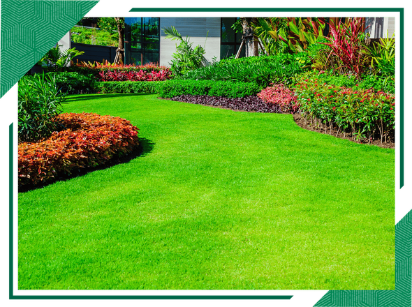 Contact - Medrano's Lawn Care