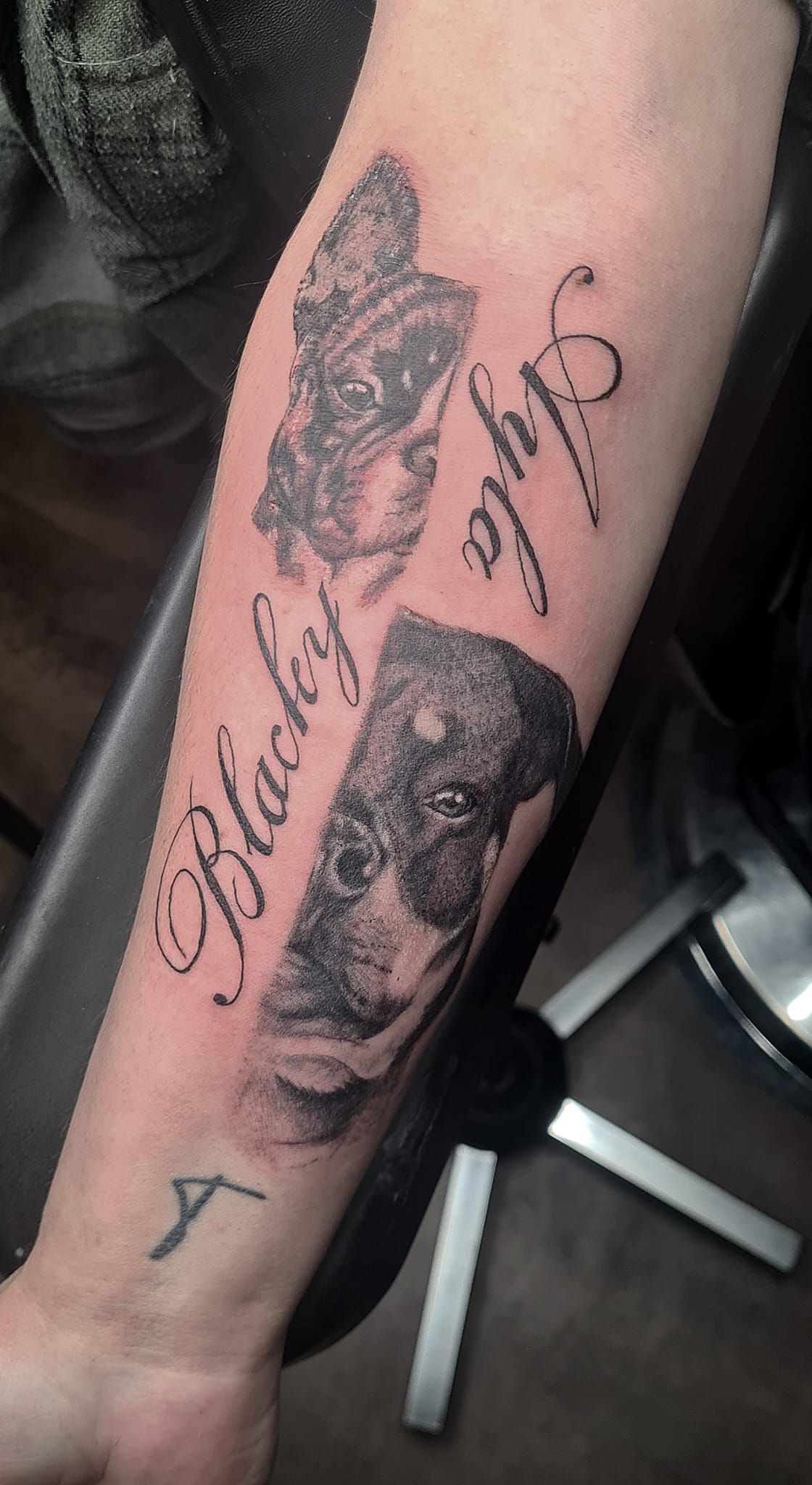 Realistiv Hunde Tattoo Marzahn