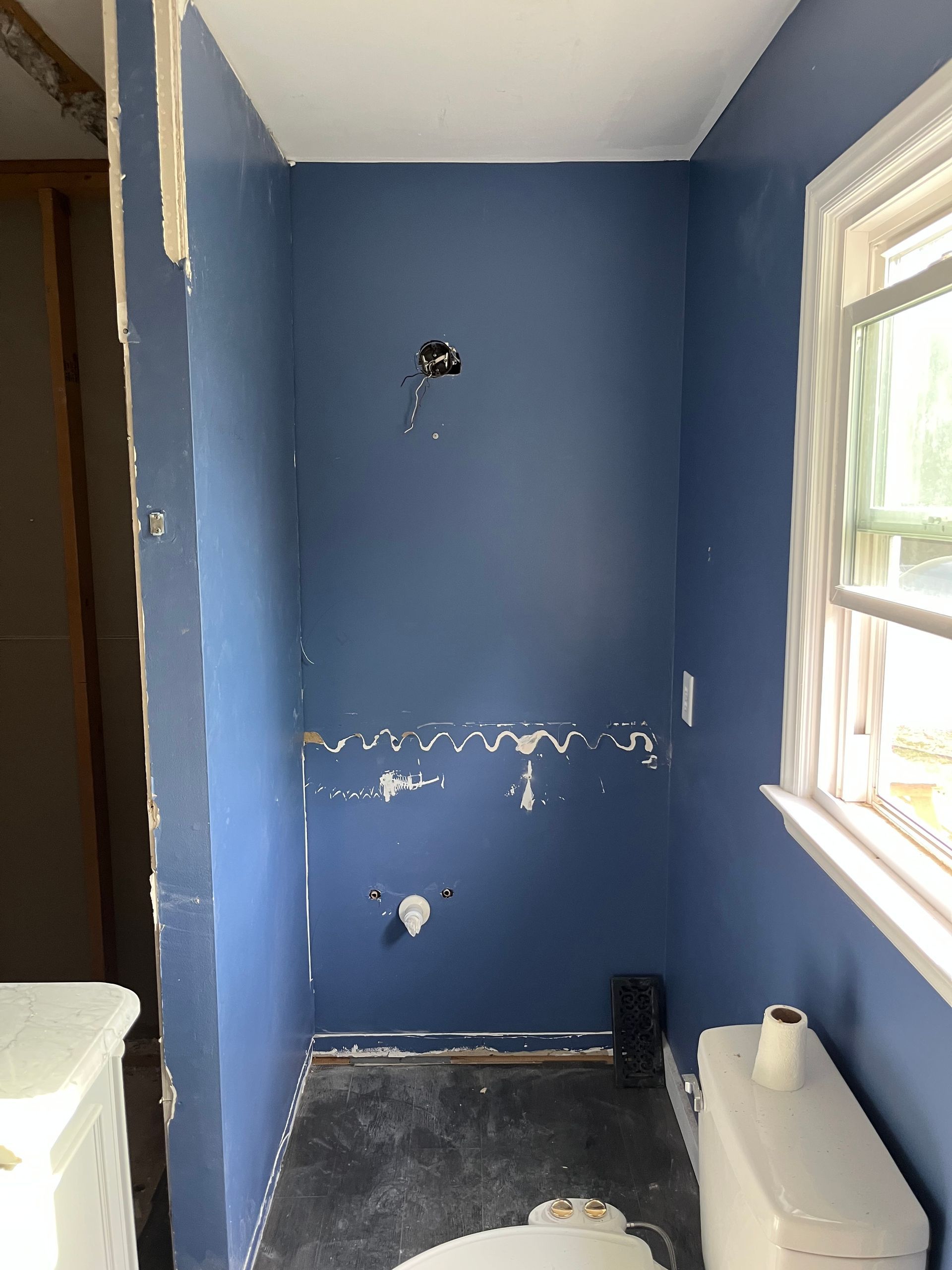 Bathroom Remodel Project In Progress