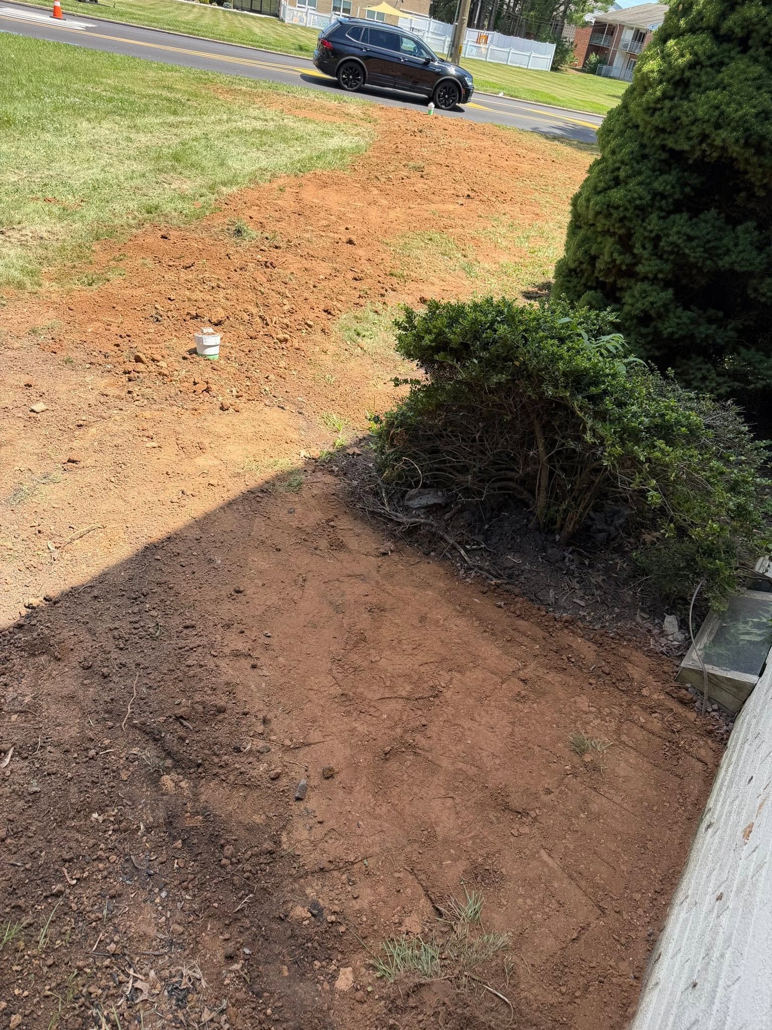Mulched front yard by a sidewalk, with a parked car and shrubbery in the background.