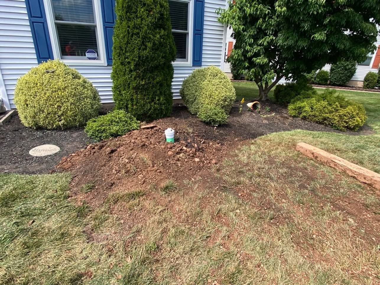 Front yard landscaping with mulch mound, shrubs, a small blue marker, and blue-sided house.