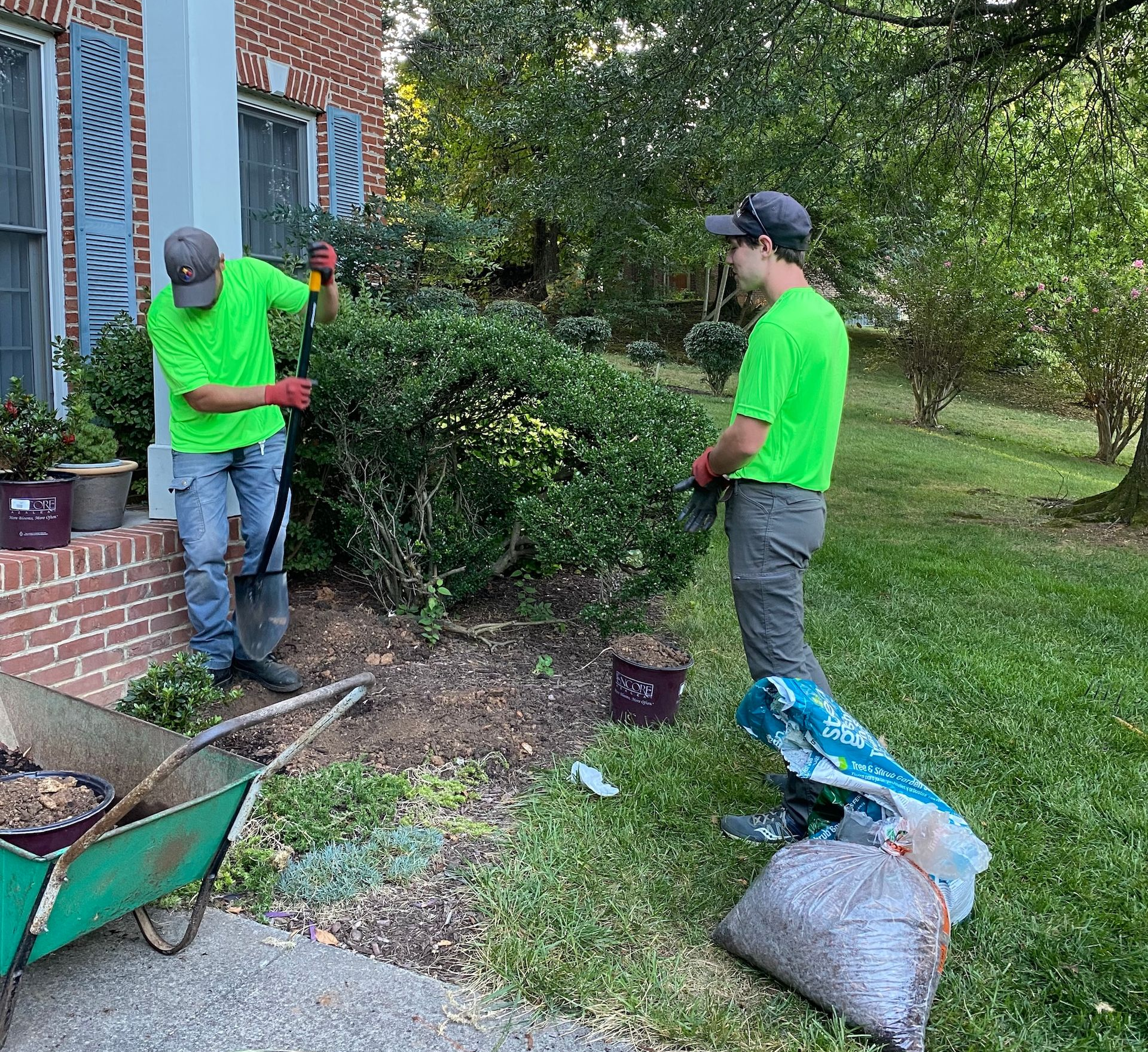 Two workers trimming bushes in a yard. One uses a shovel, the other holds a branch. Green shirts.