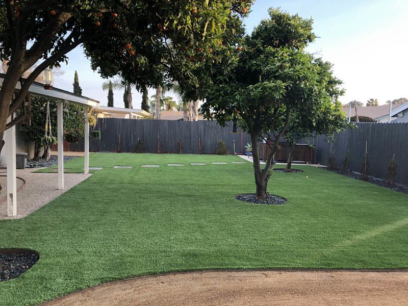A backyard with a lush green lawn and a tree in the middle