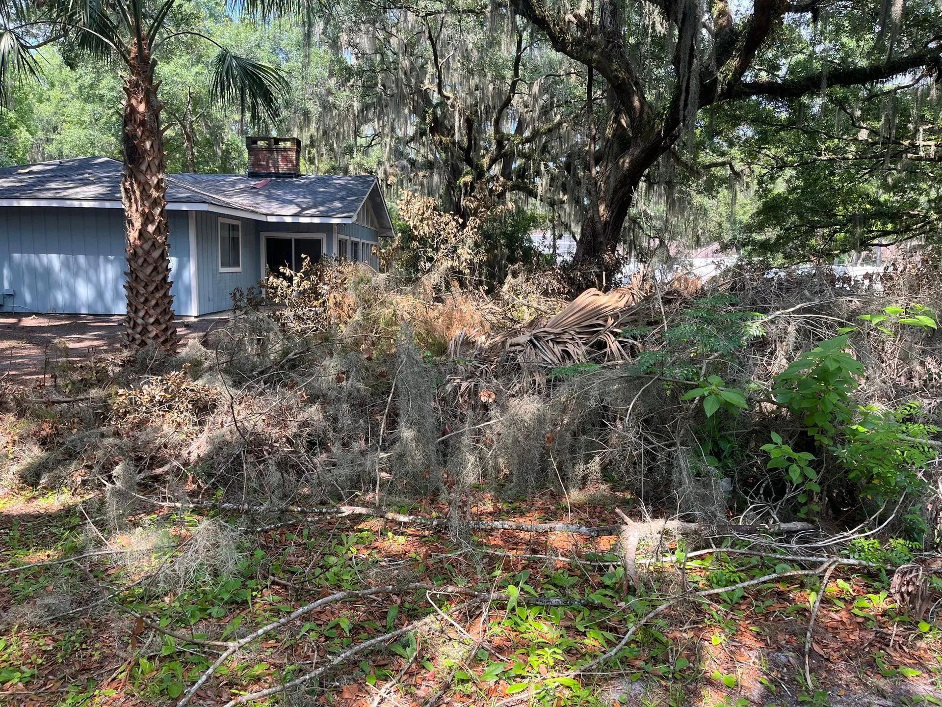 Pile of brush in front of a blue house surrounded by trees.