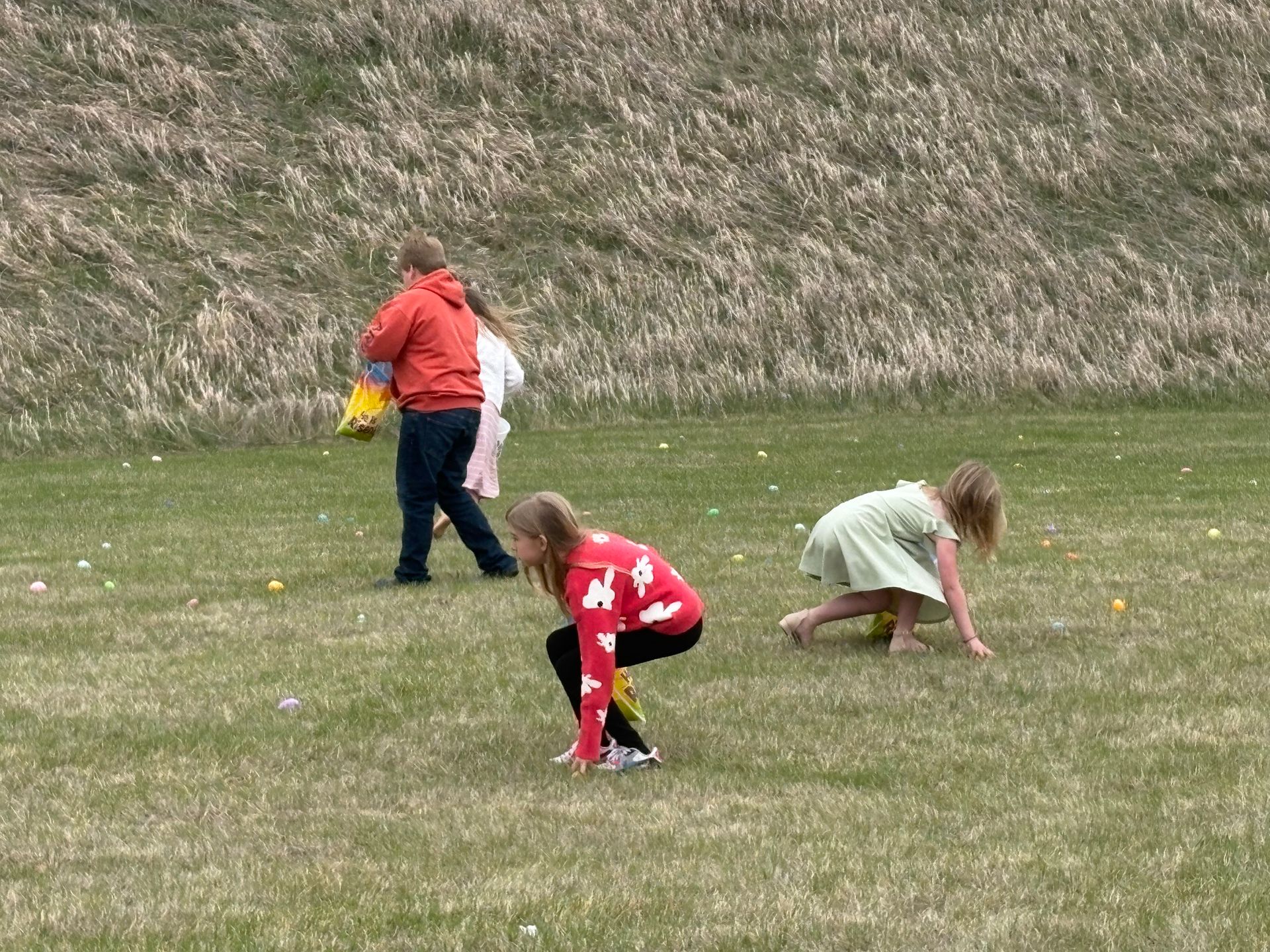 Children in a grassy field collecting eggs during an Easter egg hunt.