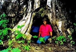 Person in pink shirt sitting at a cave entrance surrounded by greenery