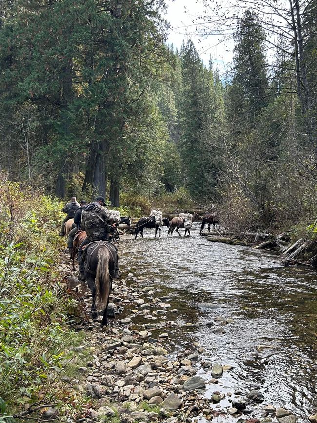 Hikers with backpacks wade through a rocky forest stream on a trail