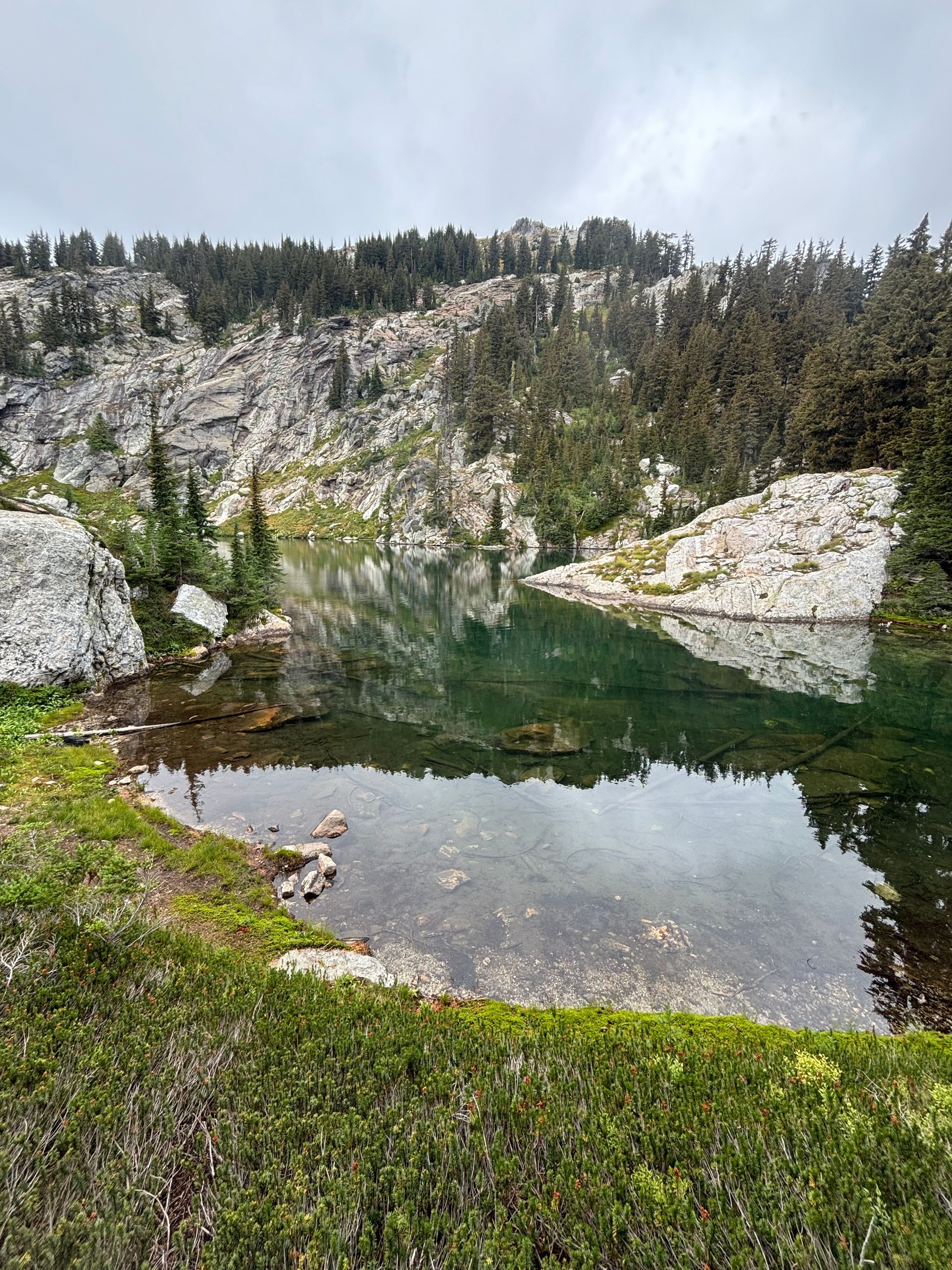 Rocky pond reflecting cloudy sky, bordered by green grass and pine trees.