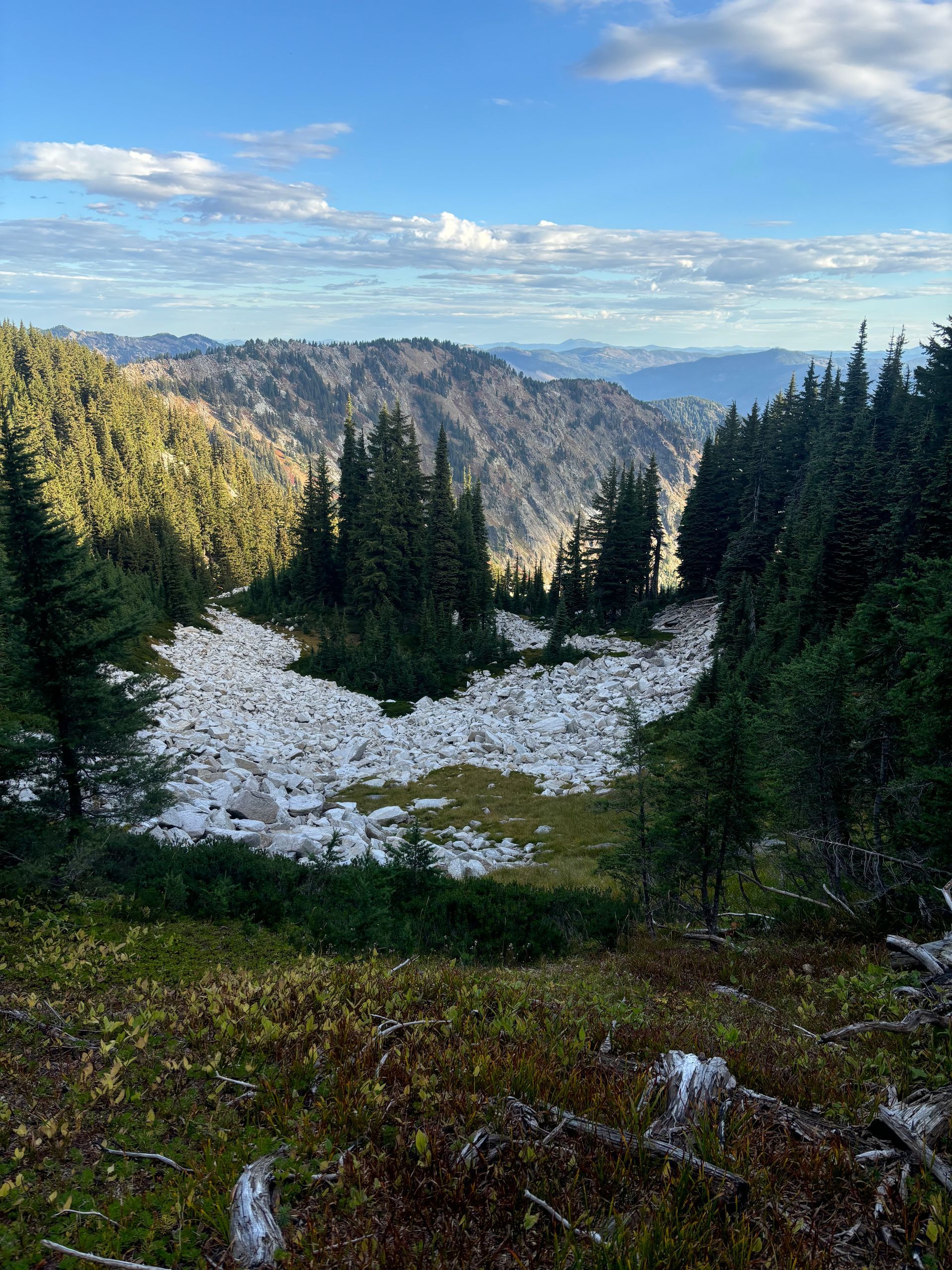 Snow patch in a forested mountain valley beneath a blue sky with scattered clouds