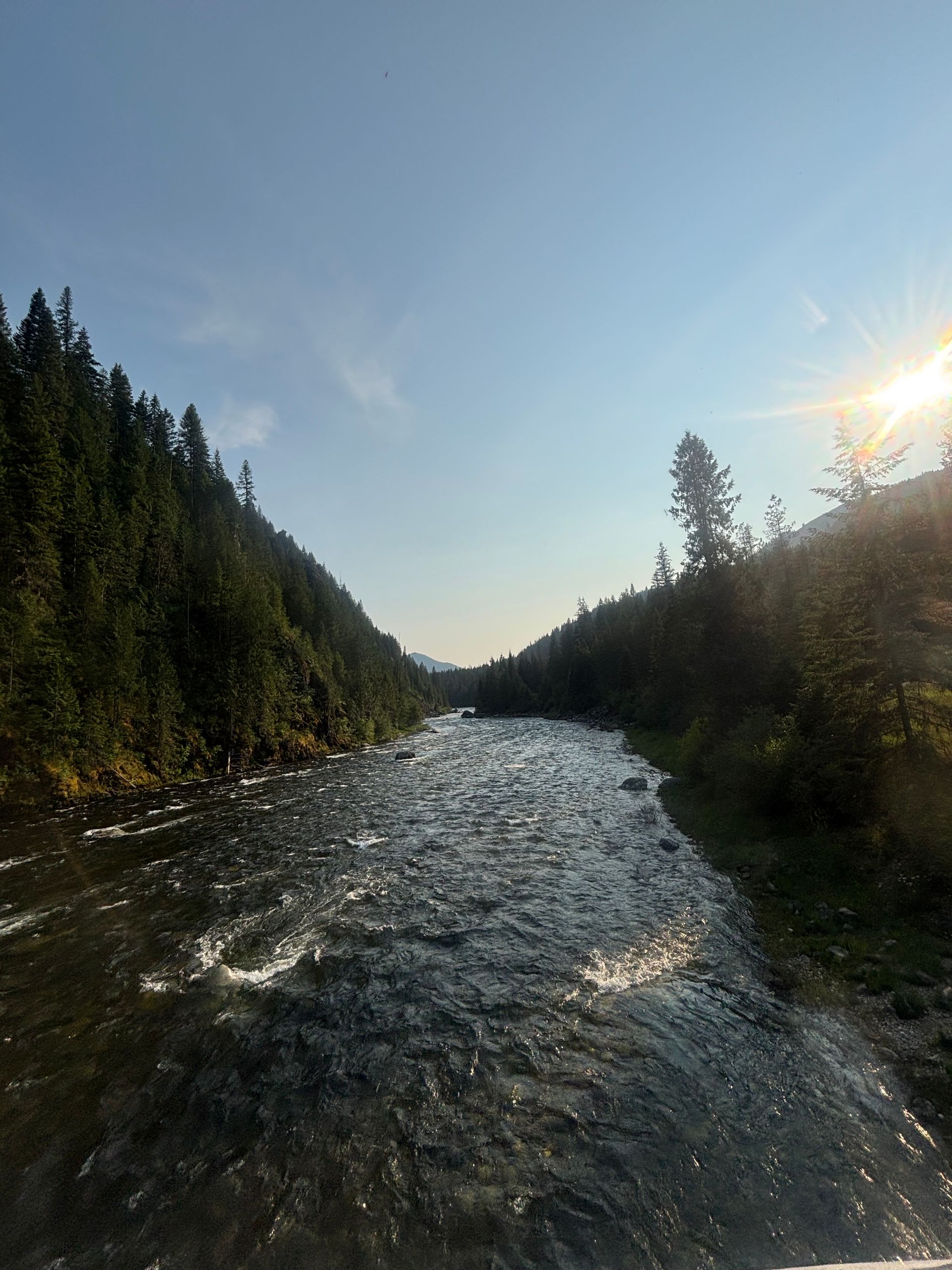 Sunlit river flowing through a forested valley under a blue sky