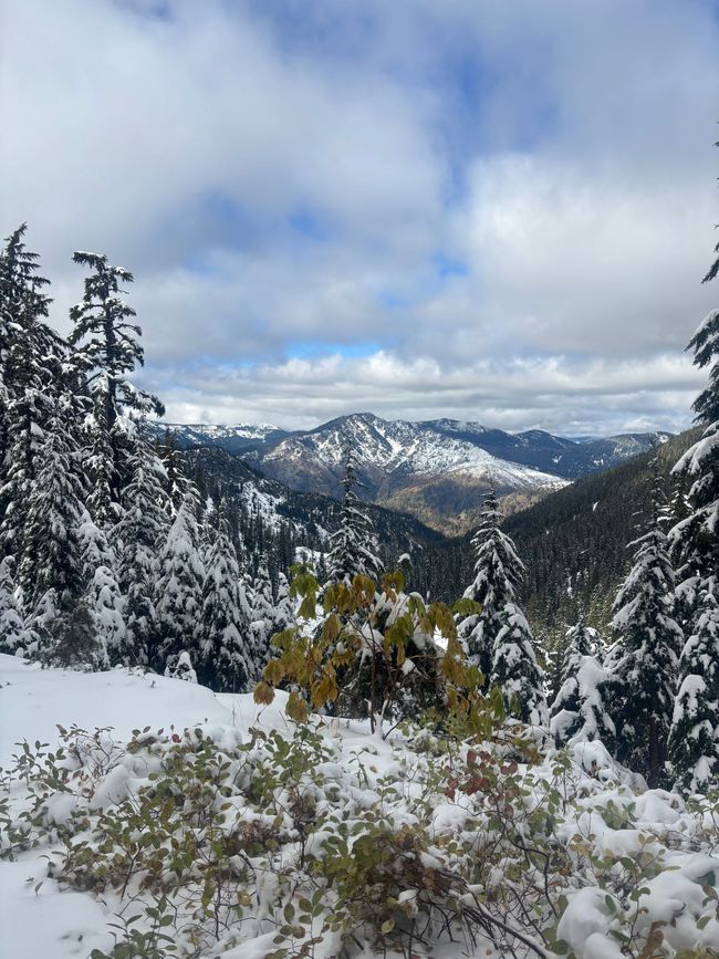 Snow-covered mountain valley with evergreen trees under a cloudy sky