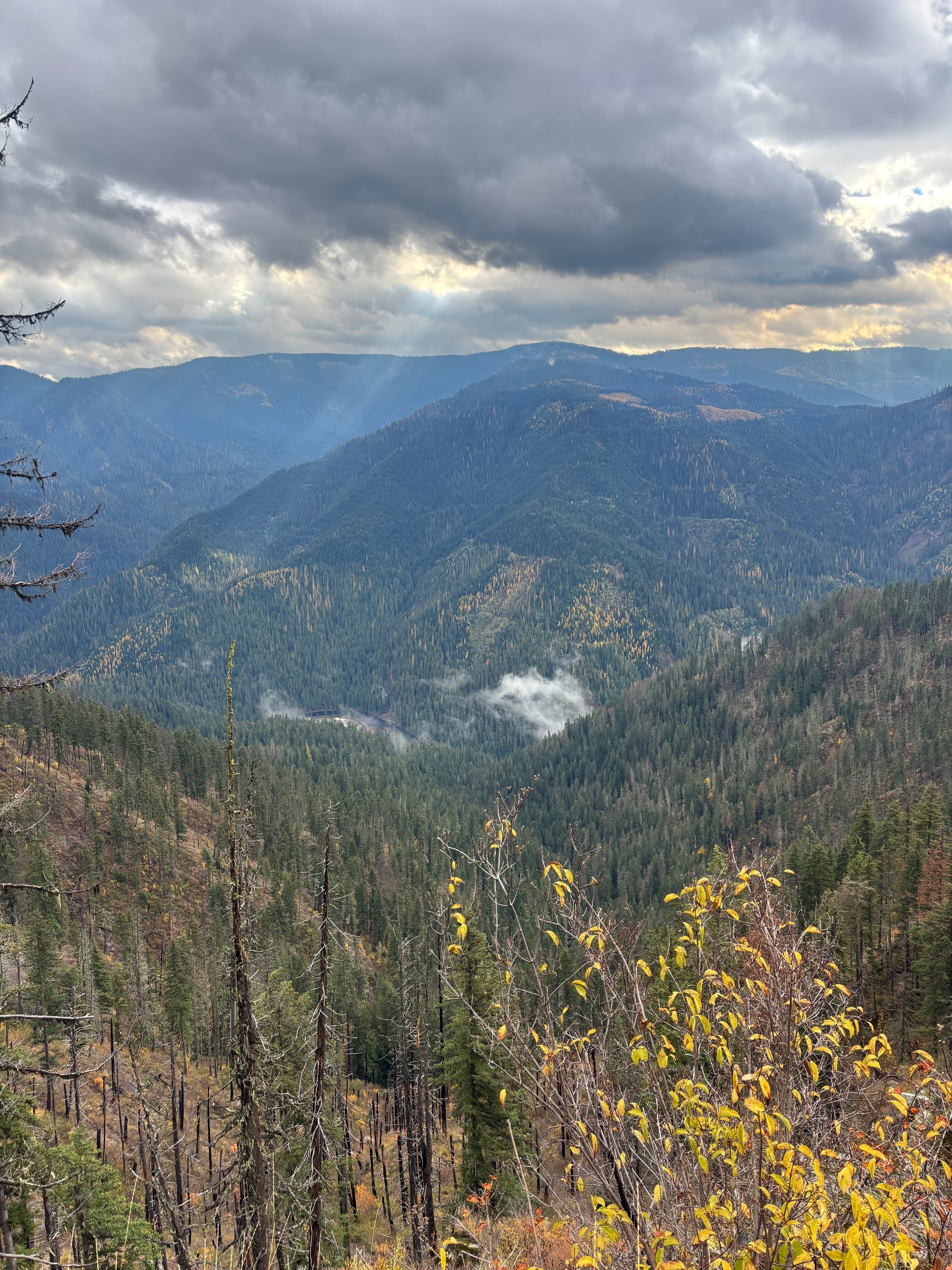 Cloudy mountain valley with forested ridges and a few wisps of mist