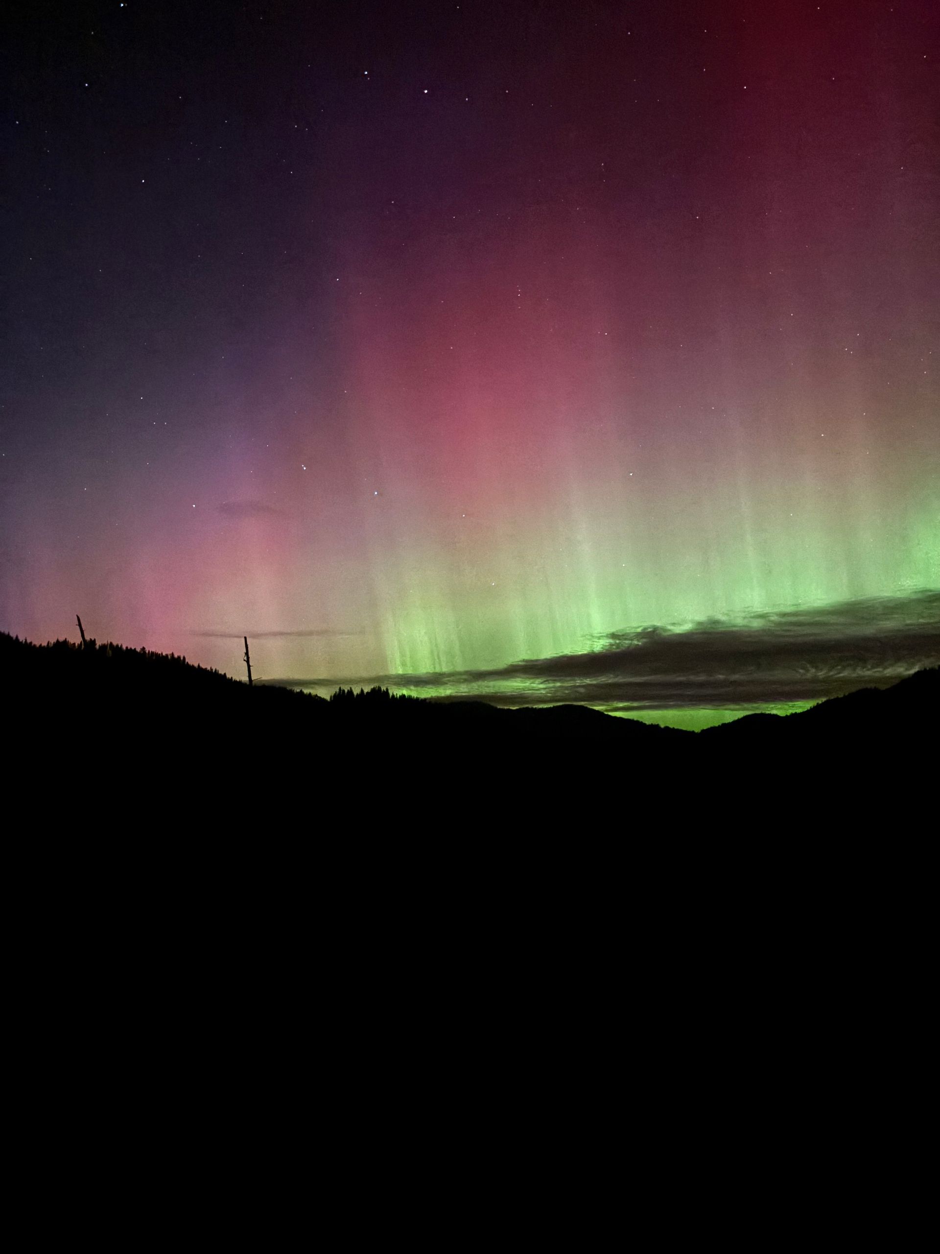 Aurora borealis glowing green and purple above a dark mountain silhouette at night