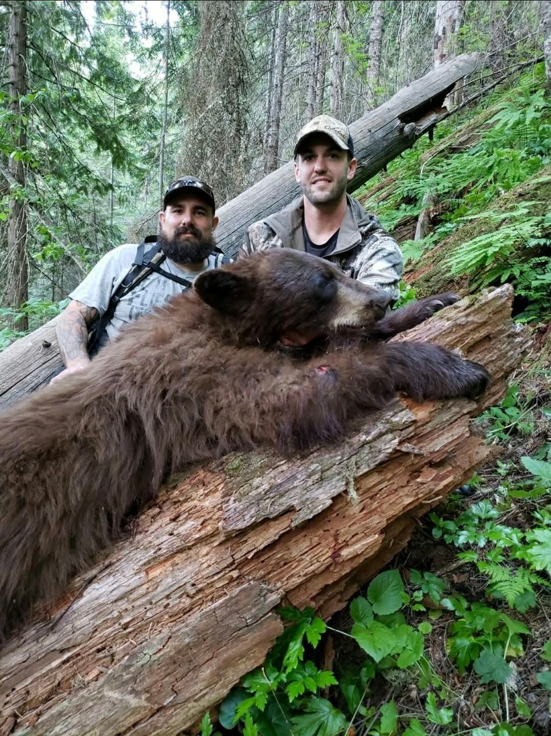 Two men posing beside a large bear on a fallen log in a forest