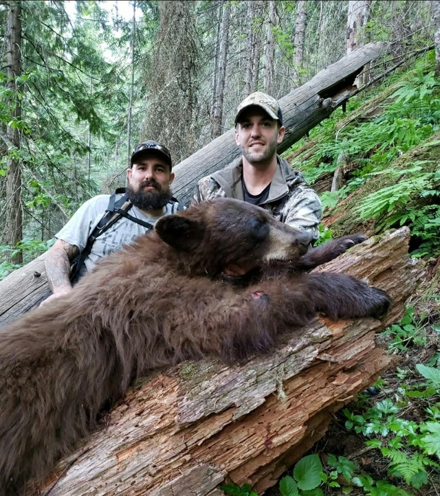 Two hunters posing behind a bear they’ve harvested in a forest.