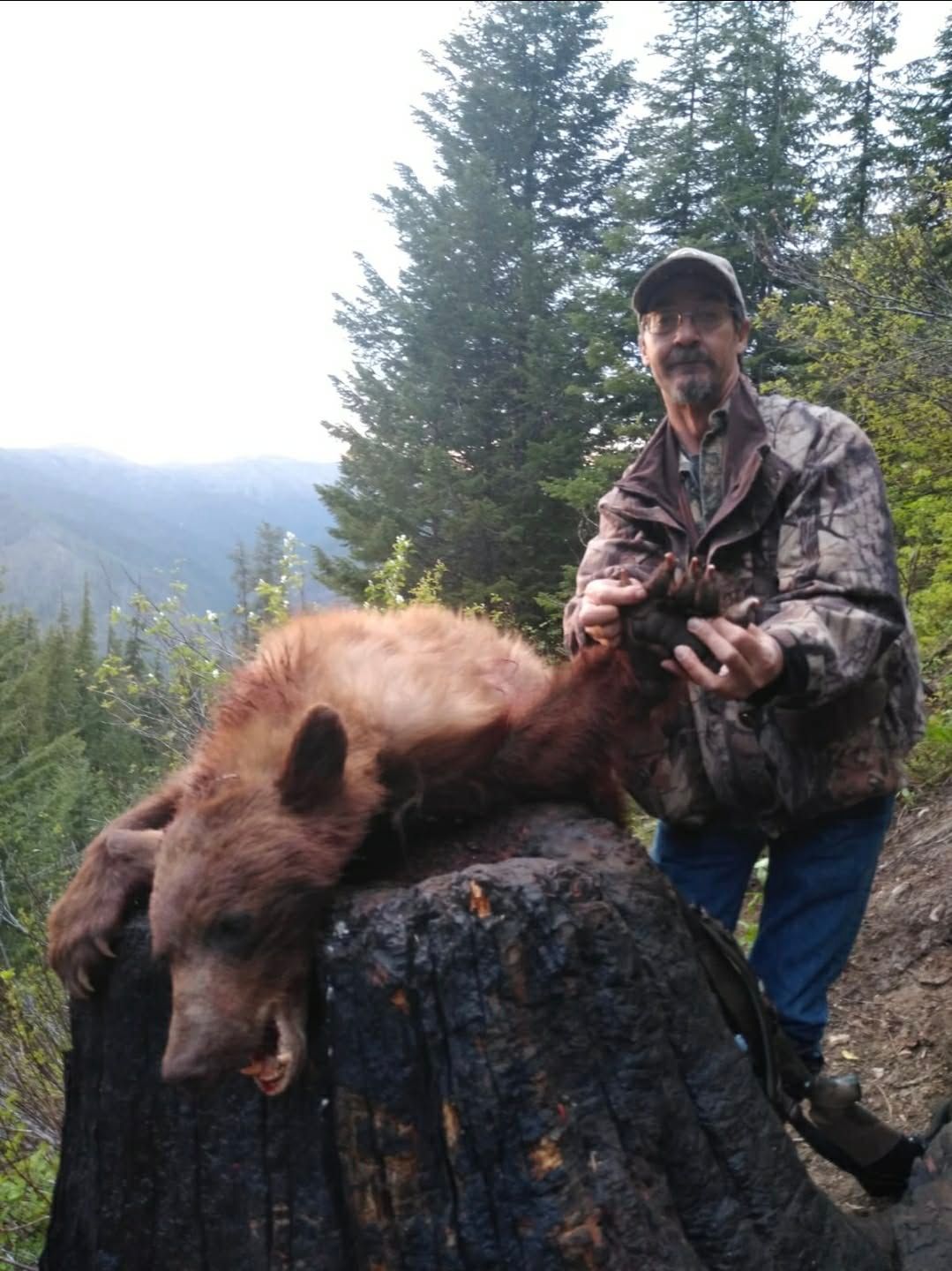 Hunter posing with a bear over a stump in a forested mountainside setting