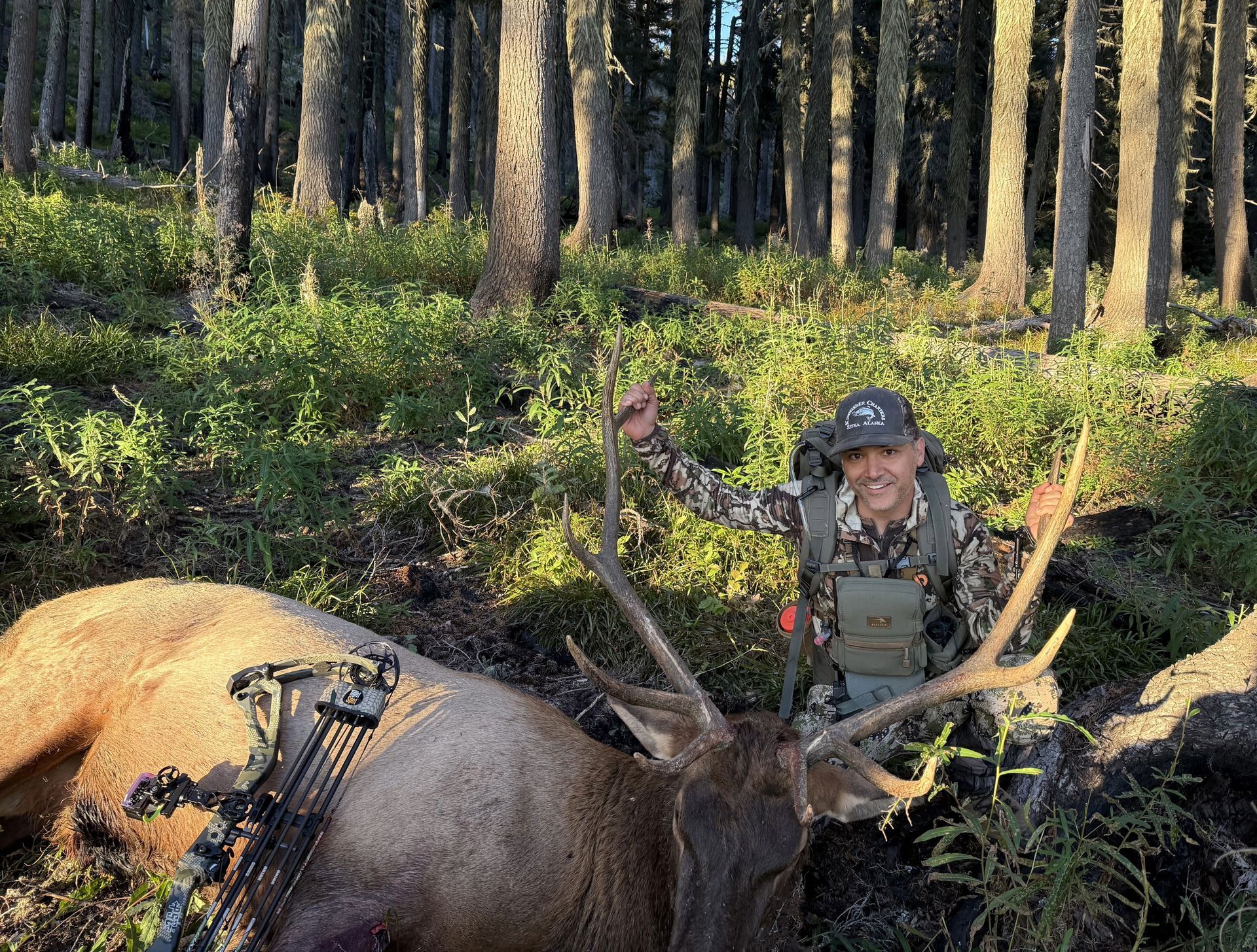 Hunter kneels beside a large elk in a sunlit pine forest, holding its antlers.