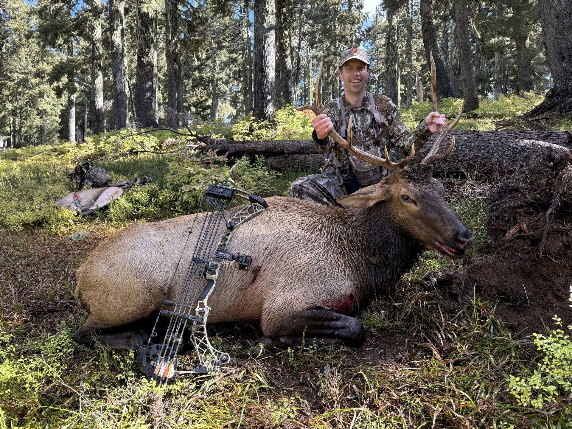 Hunter kneeling behind a large elk in a forest, holding up antlers near a rifle and pack.